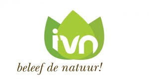 IVN